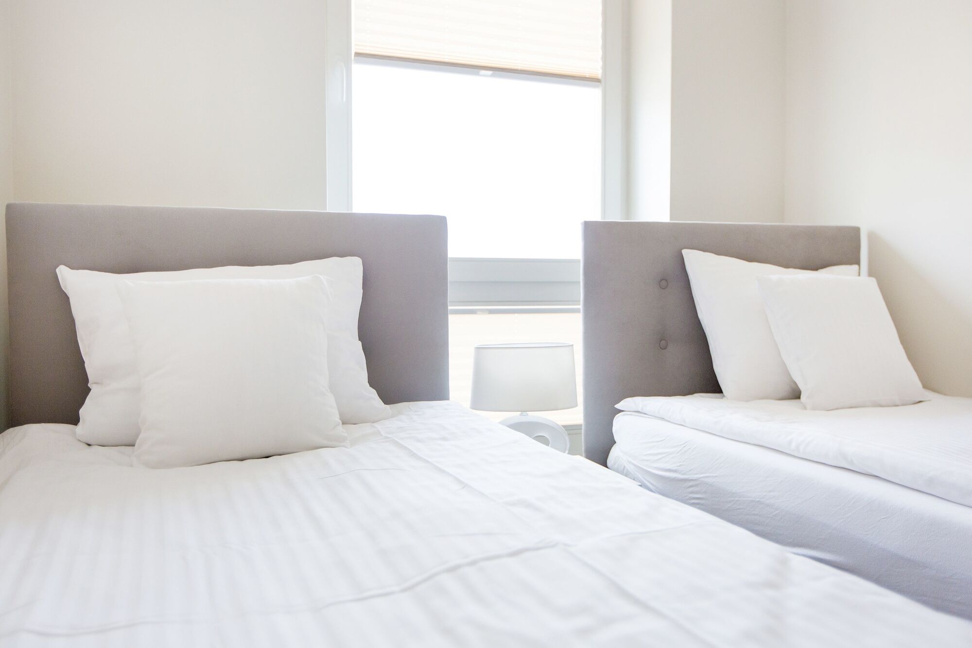 Aparthotel 1899 什切青 外观 照片